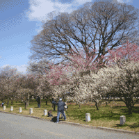 d0033734_1221584.gif
