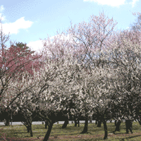 d0033734_1223842.gif
