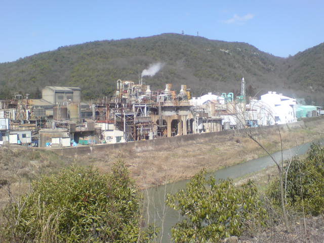 b0037544_1855554.jpg