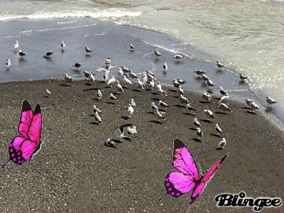f0031546_12581352.gif