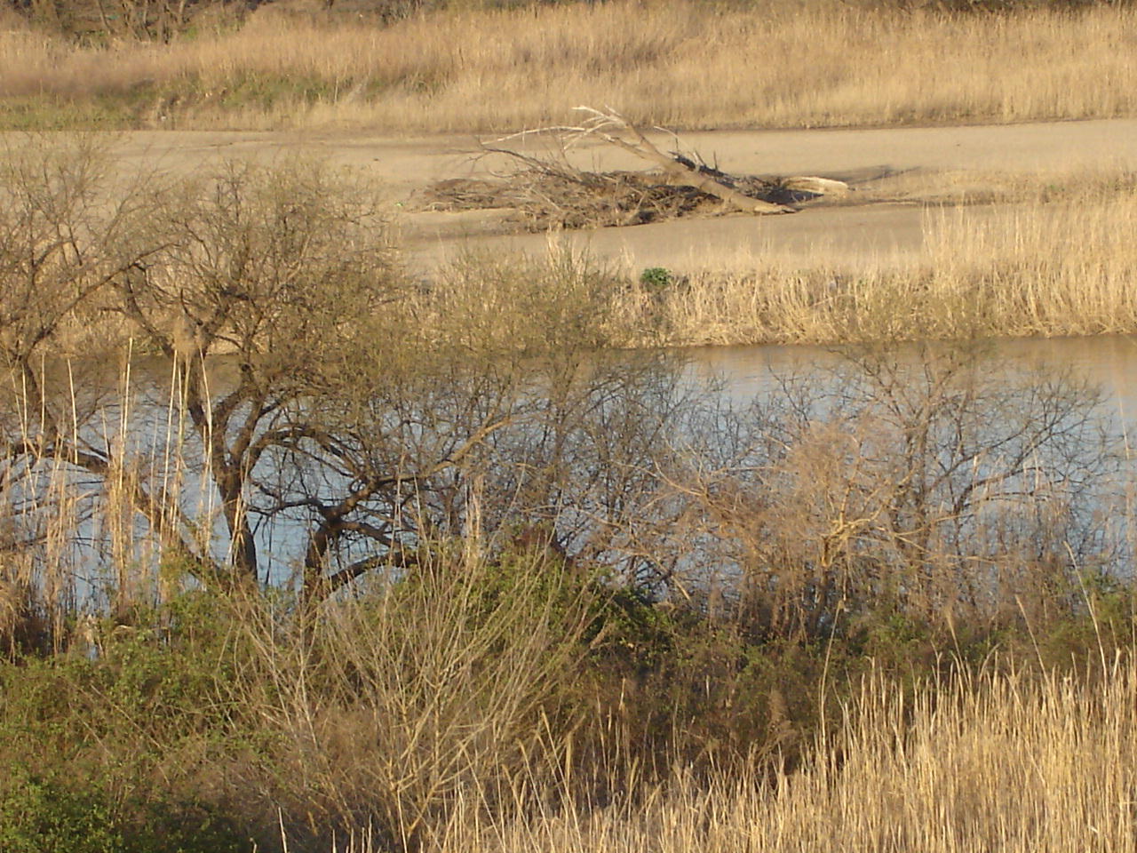 c0180752_0325435.jpg