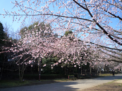 b0045357_14525959.jpg