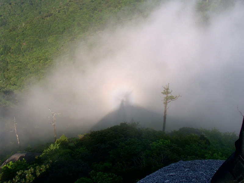 b0160957_13354416.jpg