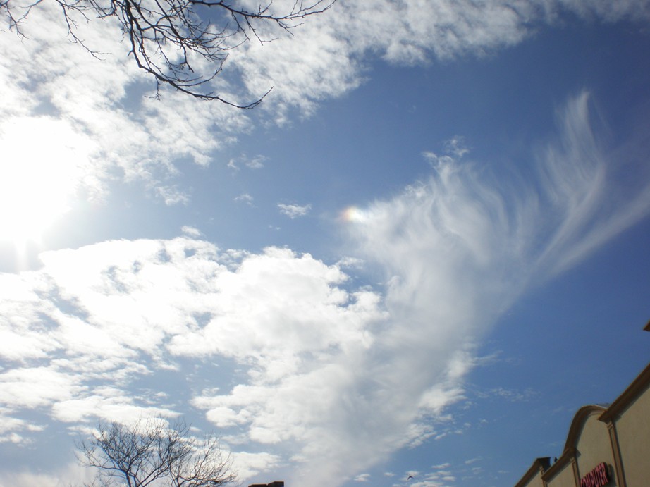 c0055857_8592682.jpg