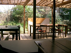 f0147759_1683893.jpg