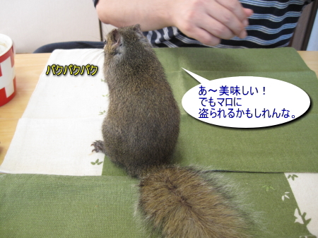 a0015164_1216592.jpg