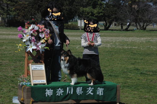 JCC神奈川春期展_f0126965_18252478.jpg
