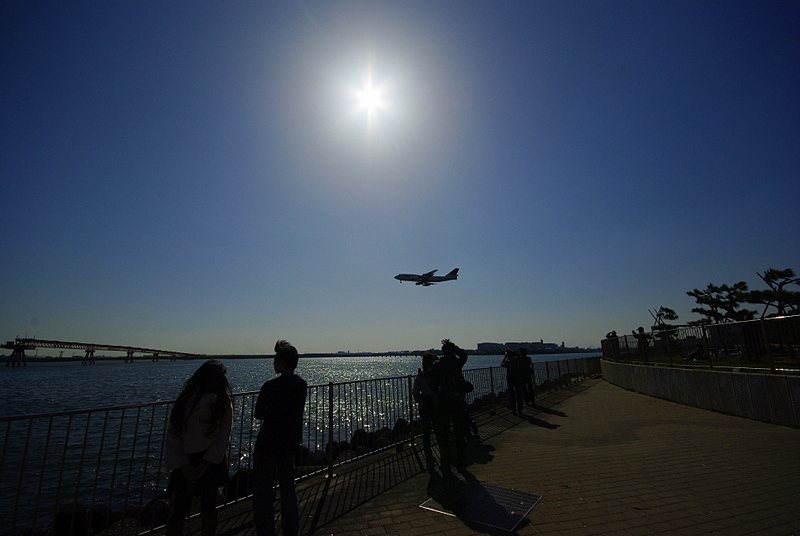 たまには飛行機_d0153168_021074.jpg