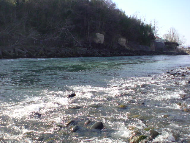 c0157482_19101228.jpg
