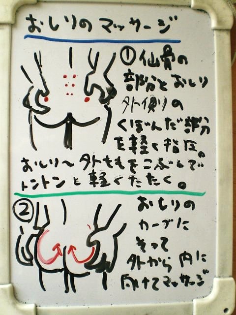 お尻のマッサージ 動画付き 整体 ツボゲッチューりらく屋 朝霞 お尻のマッサージ 動画付き 整体 ツボゲッチューりらく屋 朝霞