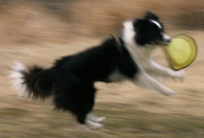 f0015287_22571772.jpg