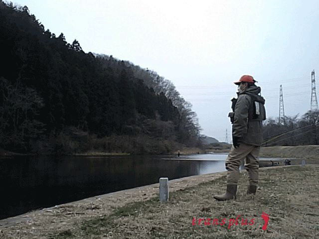 b0031493_22494825.gif