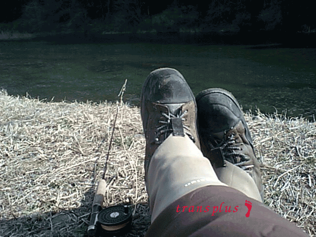 b0031493_228698.gif