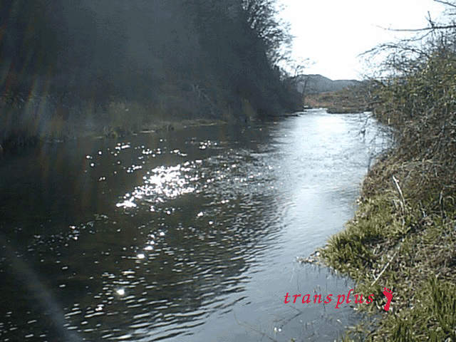 b0031493_2293647.gif