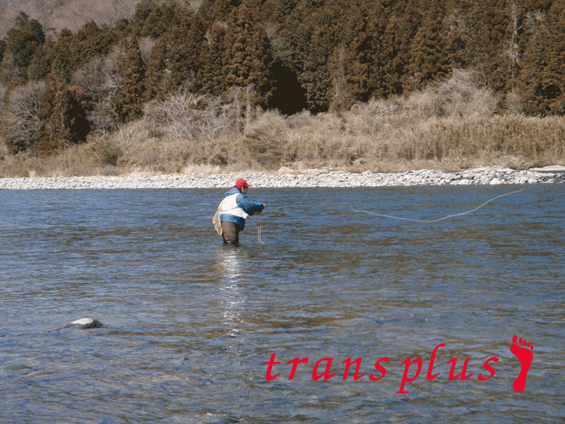 b0031493_23301341.gif