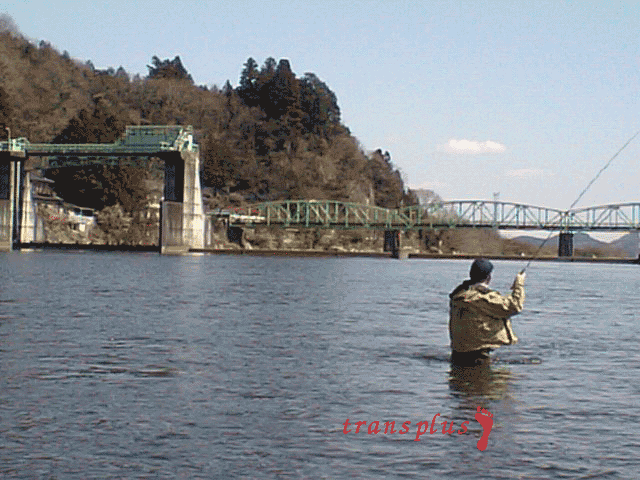 b0031493_23325184.gif