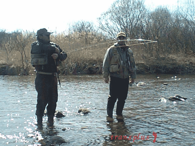 b0031493_2335876.gif
