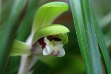 d0025894_0434145.jpg