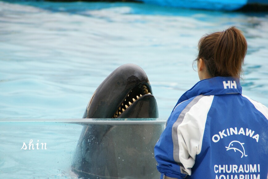 沖縄・海洋博公園・オキちゃんショー！_f0158596_19573640.jpg