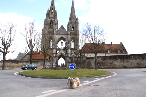c0090198_557637.jpg