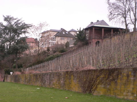 a0056401_36546.jpg