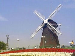 f0092504_8581555.jpg