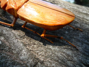 e0131506_23222534.jpg