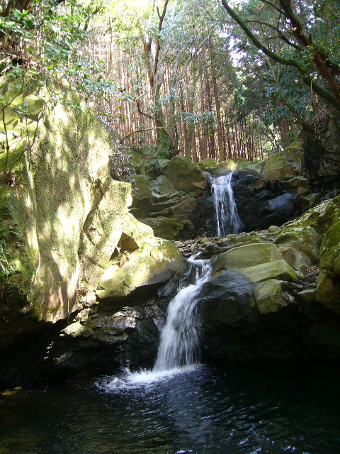 e0015108_2351320.jpg