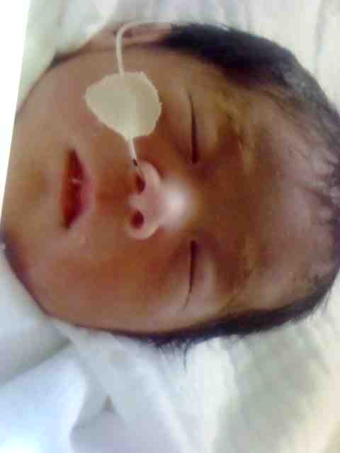 a0065309_21442626.jpg