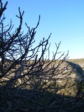 f0133814_72696.jpg