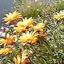 e0114015_15435413.jpg