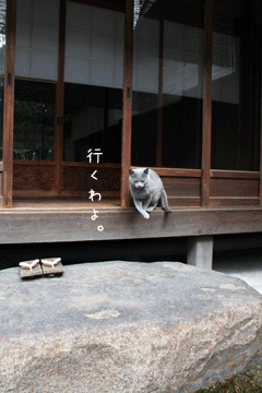 e0156015_123672.gif
