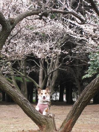 久しぶりの光が丘公園_f0155118_7135113.jpg