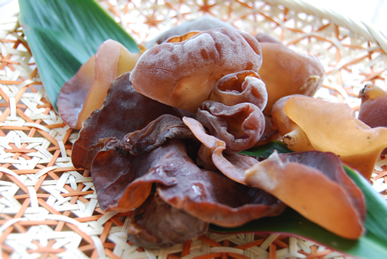 感動食材 きくらげ_c0124528_2253361.jpg