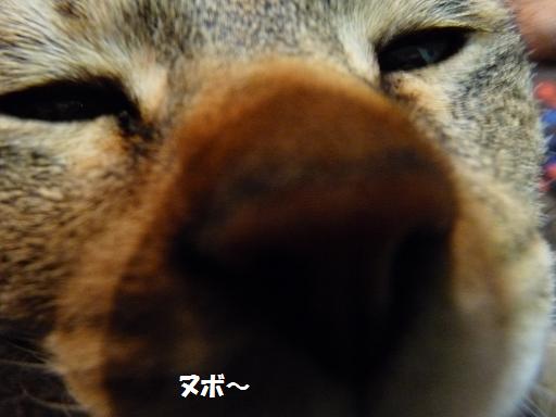 c0156328_1018417.jpg