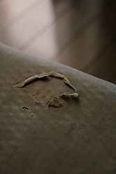 c0093830_1585419.jpg