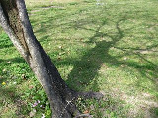 f0035830_19263148.jpg