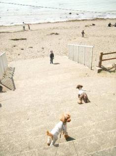 Beach Dogs_c0124031_9591163.jpg