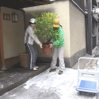 d0033734_1161242.gif