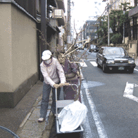 d0033734_1164024.gif