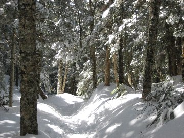 c0146040_1464810.jpg
