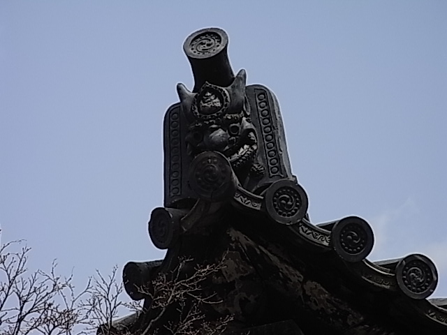 f0040342_19493.jpg