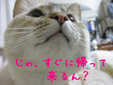 ヨォーくんがいない!_b0151748_13191363.jpg