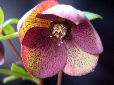 c0147952_20412282.jpg