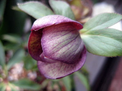 c0147952_20422611.jpg