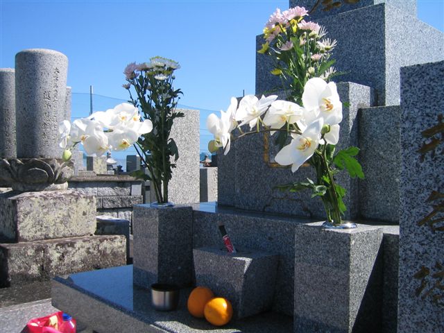 a0027555_9422128.jpg