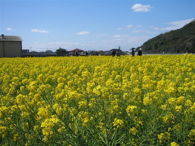 a0027555_9503562.jpg
