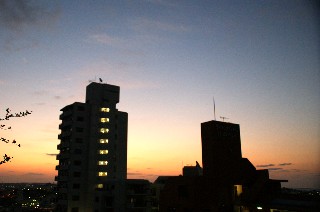 e0166355_6232830.jpg