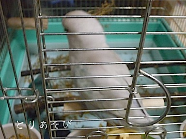 e0147757_23313580.jpg