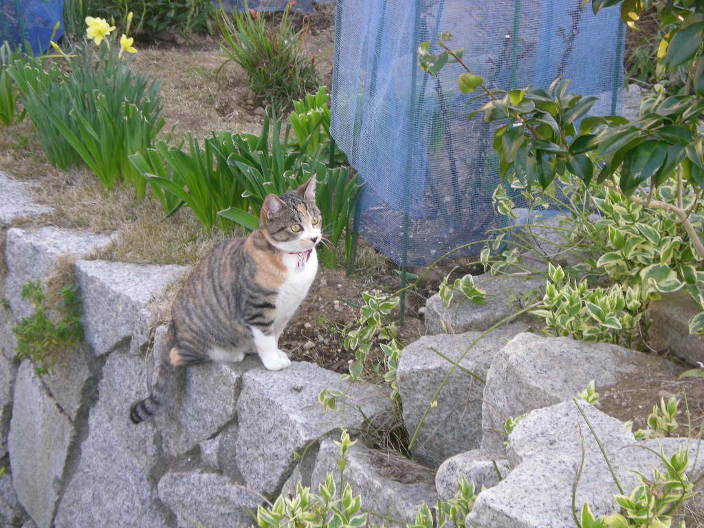 2009年3月17日(火)すっかり春!_f0060461_212937100.jpg